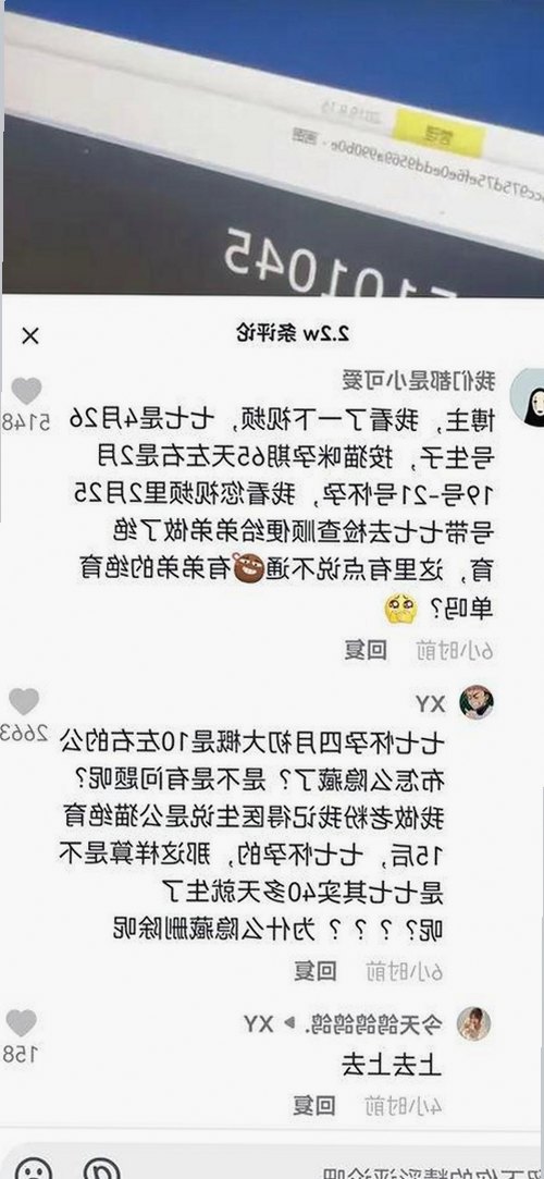 欧美知名Coser Sweetiefox废土新作引热议