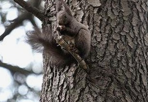 娱乐圈那些转折:吃瓜女艺人的团体人生与情感纠葛揭秘